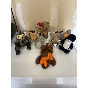 TY Beanie Baby Bundle-No Red Heart Tags